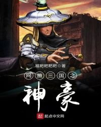 《網遊三國之神豪》