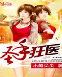 圣手狂医