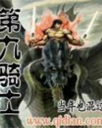 《第九骑士》