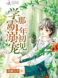 《学霸溺宠,那一年初见》