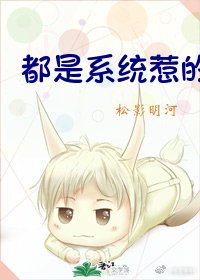 《都是系统惹的祸》