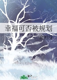 幸福可否被规划
