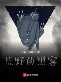 《荒野的黑客》