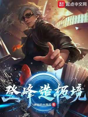 《登峰造极境》
