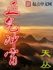 《正气冲宵》