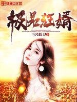 《极品狂婿》