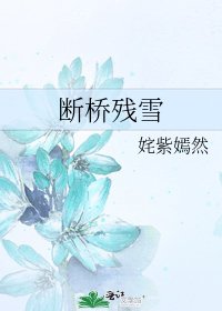 《断桥残雪》