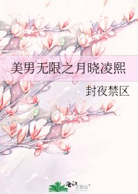 《美男无限之月晓凌熙》