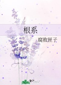 《根系》