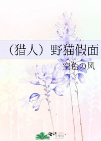 《(猎人)野猫假面》