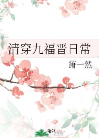 清穿九福晋日常