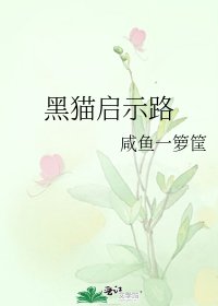 《黑猫启示路》