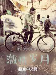 《四合院之激情岁月》