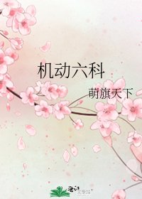 《机动六科》