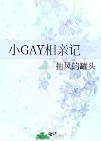 《小GAY相亲记》