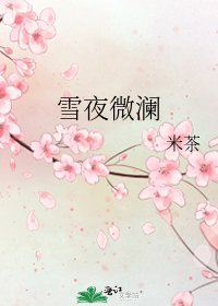 《雪夜微澜》
