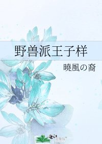 《野兽派王子样》