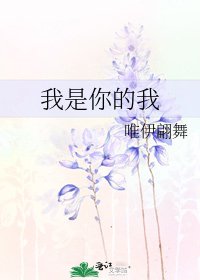 《我是你的我》