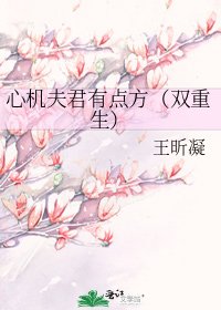 心机夫君有点方（双重生）