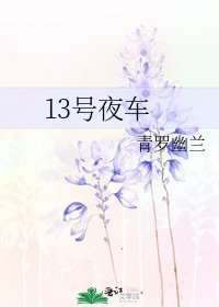13号夜车