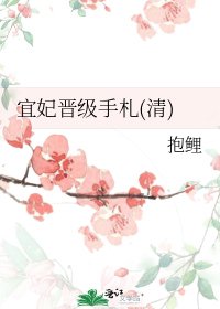 宜妃晉級手札(清)