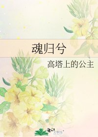 《魂归兮》