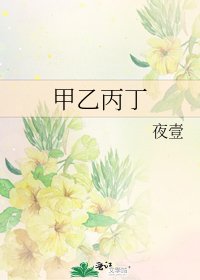《甲乙丙丁》