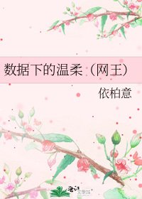 《数据下的温柔(网王)》