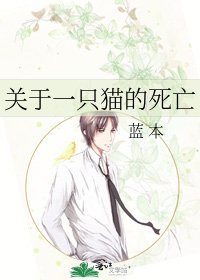 《关于一只猫的死亡》