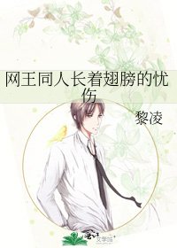 《网王同人长着翅膀的忧伤》