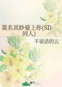 《莫名其妙爱上你(SD同人)》