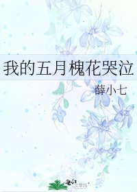 《我的五月槐花哭泣》