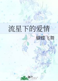 流星下的爱情