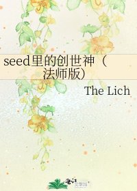 《seed里的创世神(法师版)》