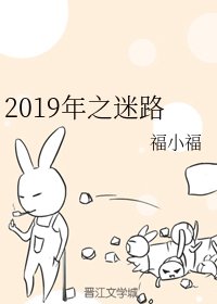 《2019年之迷路》