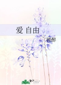 《爱 自由》