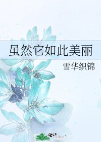 《虽然它如此美丽》