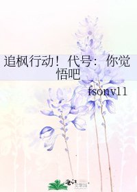 《追枫行动!代号:你觉悟吧》