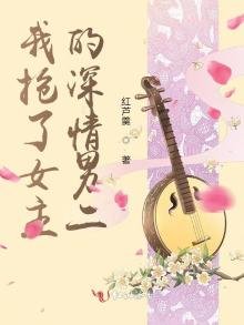 《我抢了女主的深情男二》