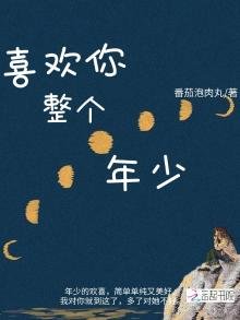 《喜欢你整个年少》