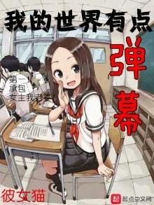 《我的世界有点弹幕》