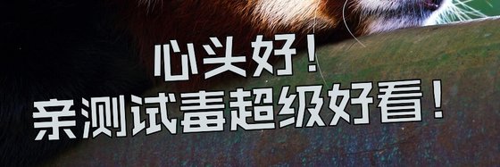 心头好！亲测试毒超级好看！