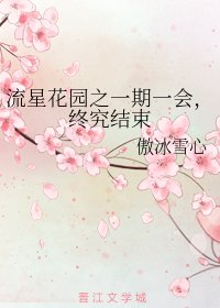 《(流星花园同人)流星花园之一期一会,终究结束》