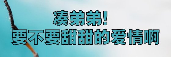 凑弟弟，要不要甜甜的爱情啊