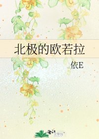 《北极的欧若拉》