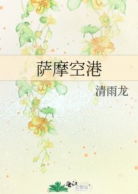 《萨摩空港》