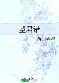 《望君错》