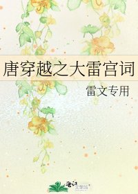唐穿越之大雷宫词