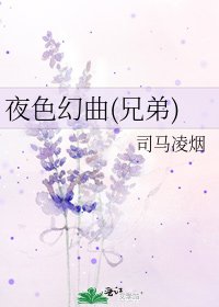 《夜色幻曲(兄弟)》