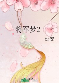 将军梦2